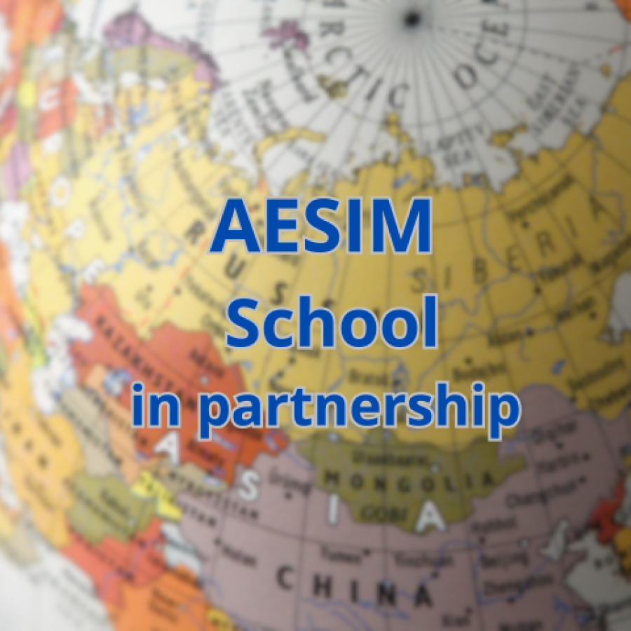 AESIM
