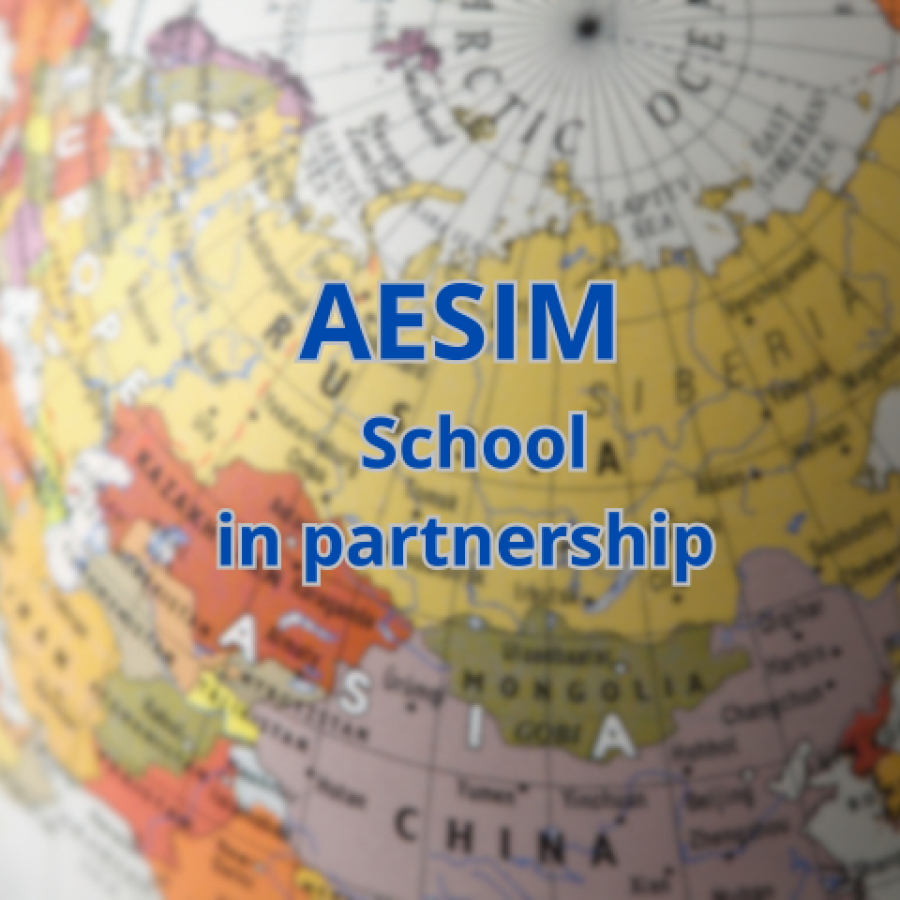 AESIM