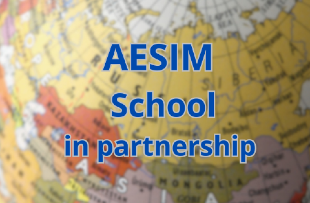 AESIM