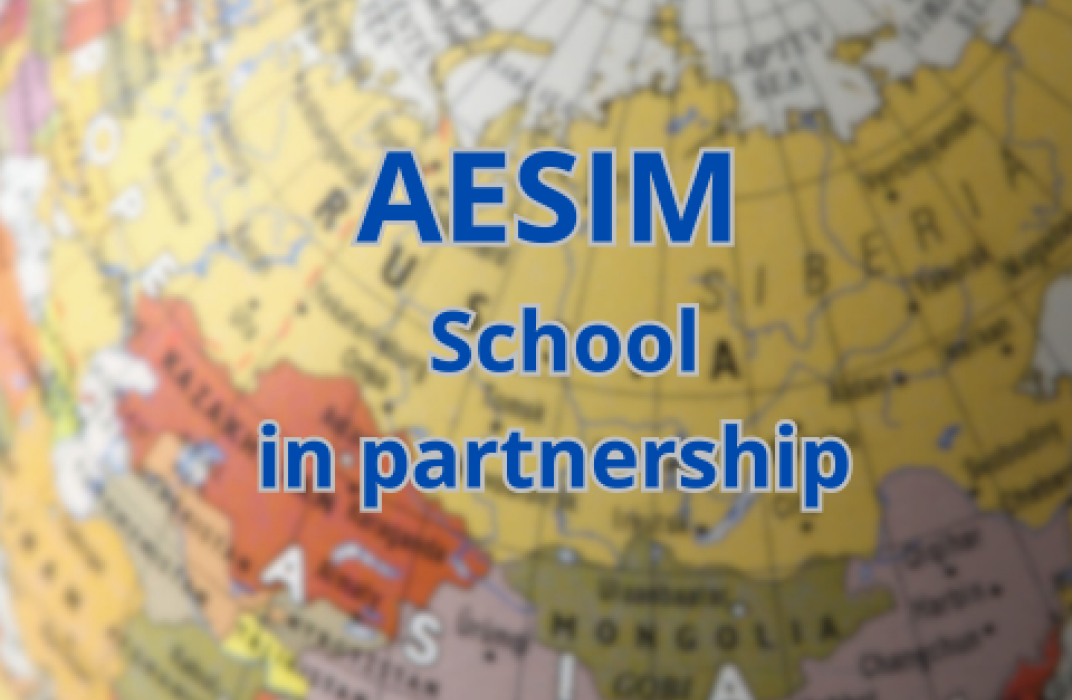 AESIM